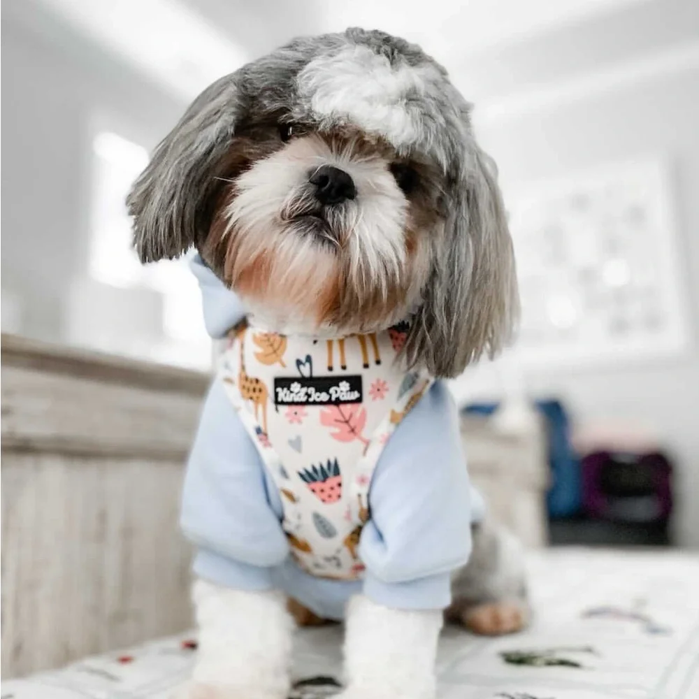Brand New - Jungle Safari Pup Dog Harness - Picture 8 of 10